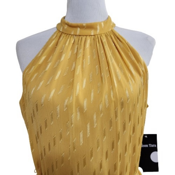 🆕️⬇️🎉HOST PICK🎉 Maison Tara Clip Dot Chiffon Maxi Dress - Picture 3 of 15